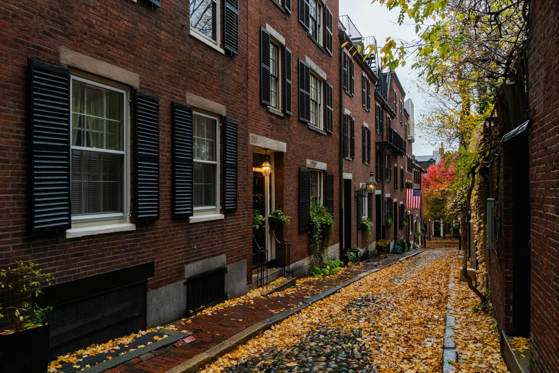 Brick sidewalk covered in fall leaves