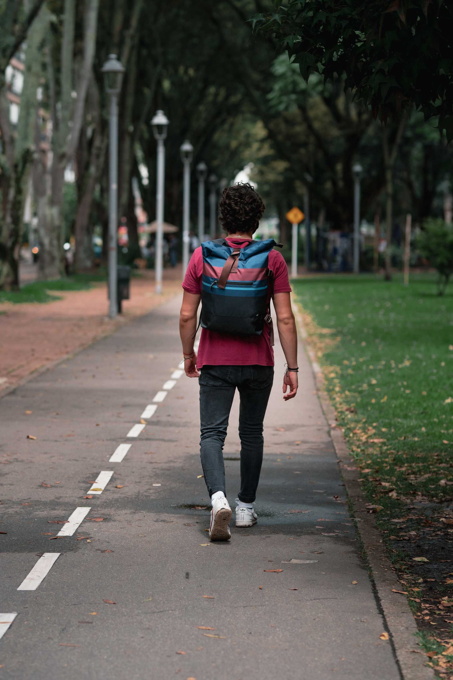 Man walking away down a tree-lined path